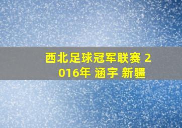 西北足球冠军联赛 2016年 涵宇 新疆